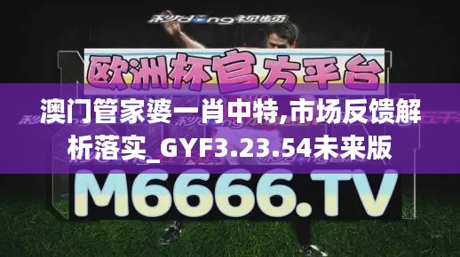 澳门管家婆一肖中特,市场反馈解析落实_GYF3.23.54未来版