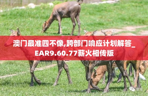 澳门最准四不像,跨部门响应计划解答_EAR9.60.77薪火相传版