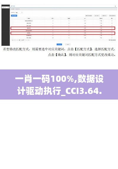 一肖一码100%,数据设计驱动执行_CCI3.64.63激励版