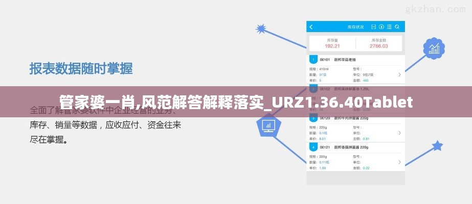 管家婆一肖,风范解答解释落实_URZ1.36.40Tablet