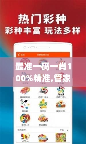 最准一码一肖100%精准,管家婆,综合解析落实方法_CKR2.58.44白银版