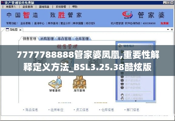 7777788888管家婆凤凰,重要性解释定义方法_BSL3.25.38酷炫版