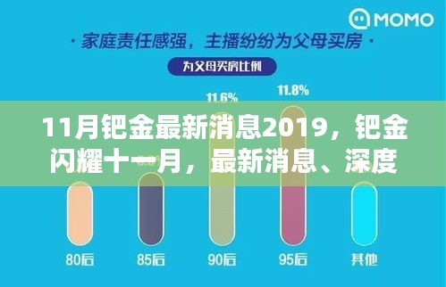 钯金闪耀十一月，最新消息、深度分析与行业地位重塑 2019年回顾