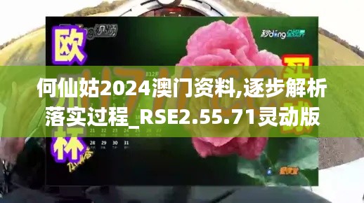 何仙姑2024澳门资料,逐步解析落实过程_RSE2.55.71灵动版