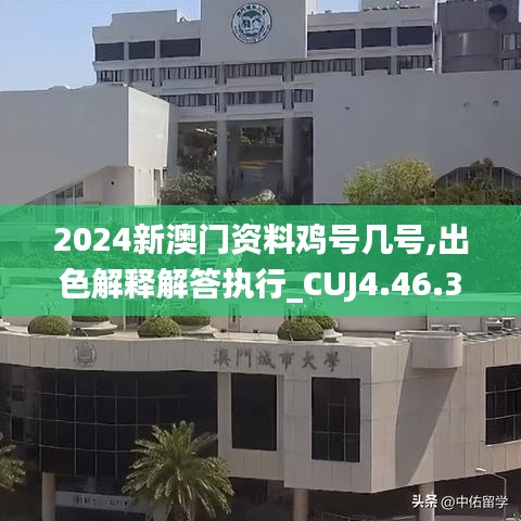 2024新澳门资料鸡号几号,出色解释解答执行_CUJ4.46.34钻石版