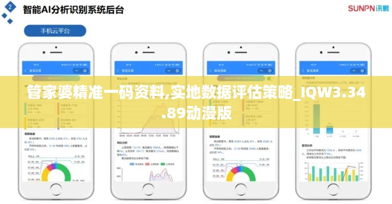 管家婆精准一码资料,实地数据评估策略_IQW3.34.89动漫版