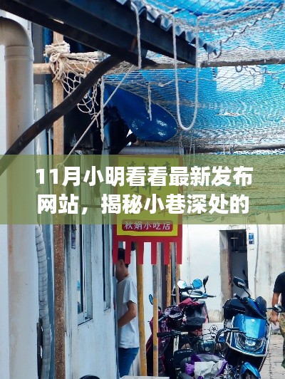 揭秘小巷深处的隐藏宝藏，11月最新发布网站特色小店探秘之旅