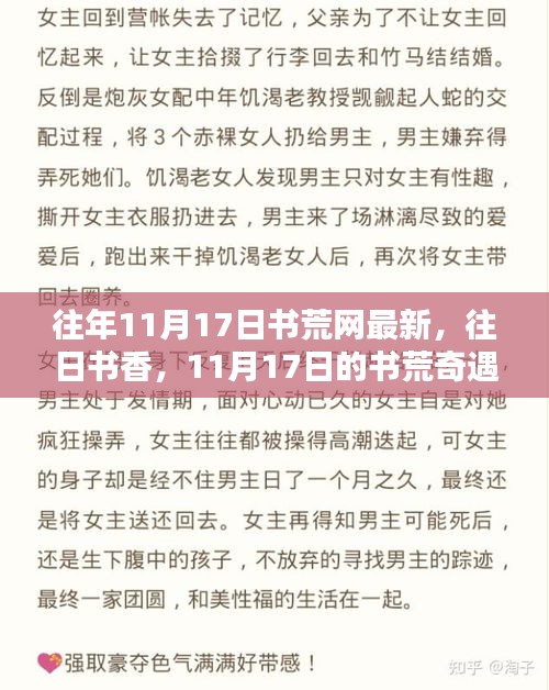 书荒奇遇与友情温暖，历年11月17日书荒网回顾与往日书香赏析