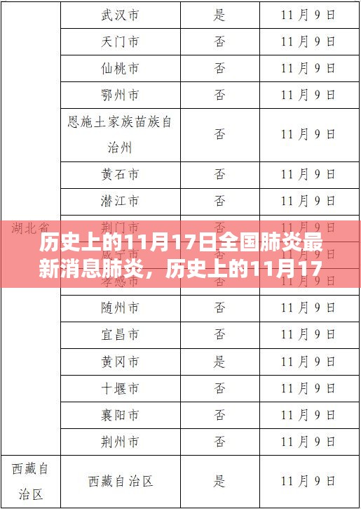 历史上的11月17日全国肺炎最新消息深度分析与个人观点