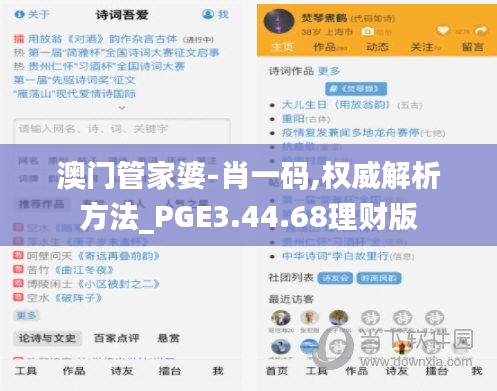 澳门管家婆-肖一码,权威解析方法_PGE3.44.68理财版