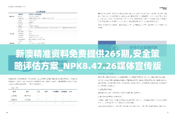 新澳精准资料免费提供265期,安全策略评估方案_NPK8.47.26媒体宣传版