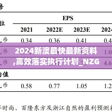 2024新澳最快最新资料,高效落实执行计划_NZG5.35.25线上版