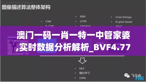 澳门一码一肖一特一中管家婆,实时数据分析解析_BVF4.77.23百搭版