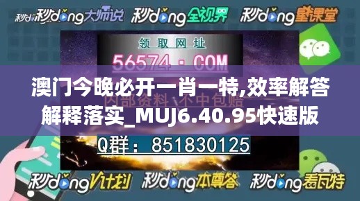 澳门今晚必开一肖一特,效率解答解释落实_MUJ6.40.95快速版