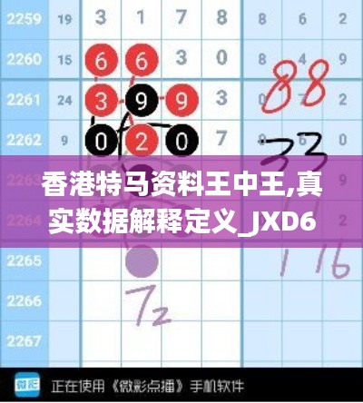 香港特马资料王中王,真实数据解释定义_JXD6.20.77特别版