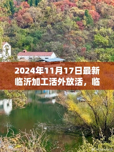 临沂加工活外放生活，探索自然美景，重拾心灵宁静之旅