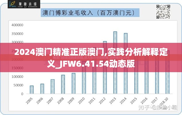 2024澳门精准正版澳门,实践分析解释定义_JFW6.41.54动态版