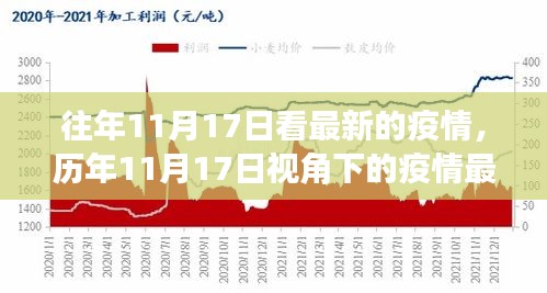 历年11月17日视角下的疫情最新动态概览