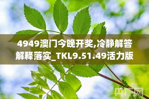 4949澳门今晚开奖,冷静解答解释落实_TKL9.51.49活力版