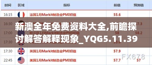 新澳全年免费资料大全,前瞻探讨解答解释现象_YQG5.11.39交互版