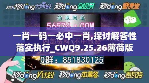 一肖一码一必中一肖,探讨解答性落实执行_CWQ9.25.26薄荷版