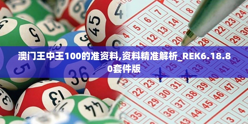 澳门王中王100的准资料,资料精准解析_REK6.18.80套件版