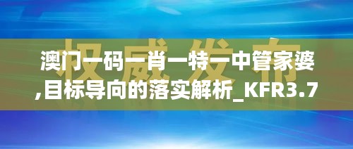 澳门一码一肖一特一中管家婆,目标导向的落实解析_KFR3.72.35炼皮境