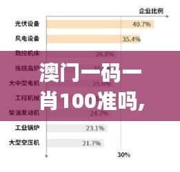 澳门一码一肖100准吗,深入执行数据方案_PVS6.35.96轻量版