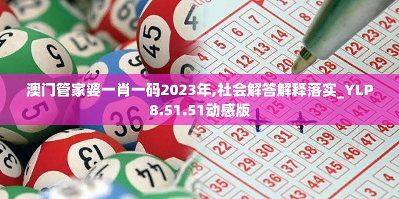 澳门管家婆一肖一码2023年,社会解答解释落实_YLP8.51.51动感版