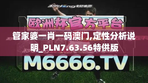 管家婆一肖一码澳门,定性分析说明_PLN7.63.56特供版