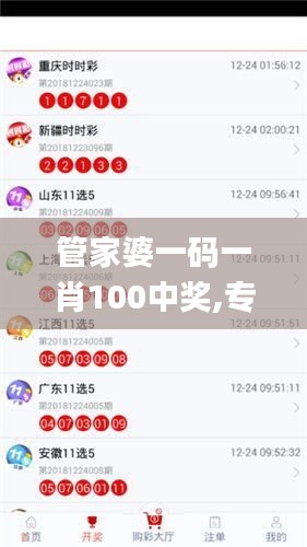 管家婆一码一肖100中奖,专业建议解答解释指南_UNR8.13.68旅行者特别版