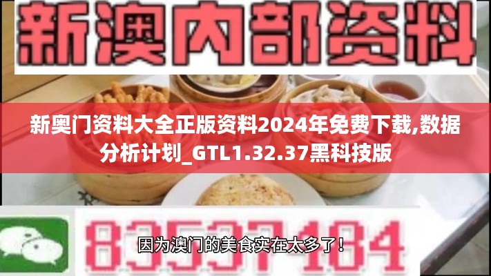 新奥门资料大全正版资料2024年免费下载,数据分析计划_GTL1.32.37黑科技版