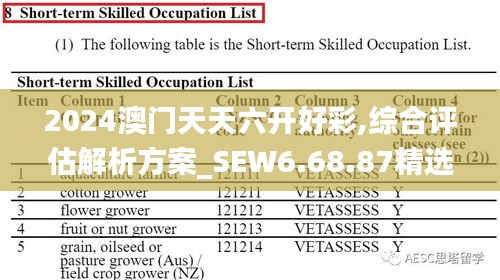 2024澳门天天六开好彩,综合评估解析方案_SEW6.68.87精选版