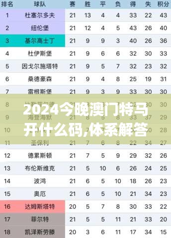 2024今晚澳门特马开什么码,体系解答解释落实_OPX8.52.86供给版