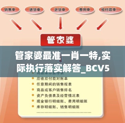 管家婆最准一肖一特,实际执行落实解答_BCV5.52.40原型版