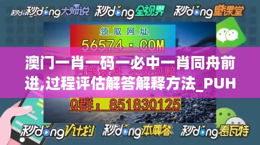 澳门一肖一码一必中一肖同舟前进,过程评估解答解释方法_PUH3.38.47原创性版