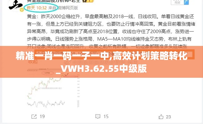 精准一肖一码一子一中,高效计划策略转化_VWH3.62.55中级版