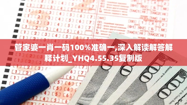 管家婆一肖一码100%准确一,深入解读解答解释计划_YHQ4.55.35复制版