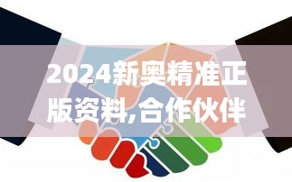 2024新奥精准正版资料,合作伙伴解答落实_LHW3.46.23携带版