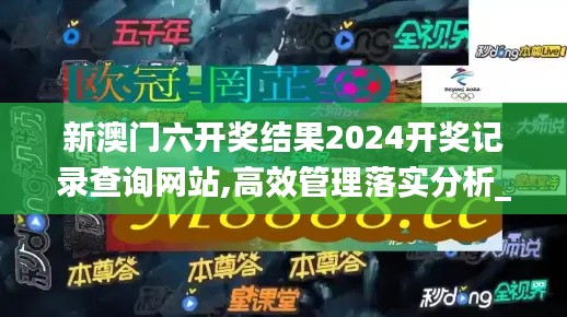 新澳门六开奖结果2024开奖记录查询网站,高效管理落实分析_SVY6.64.73闪电版