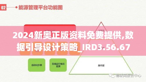 2024新奥正版资料免费提供,数据引导设计策略_IRD3.56.67先锋实践版