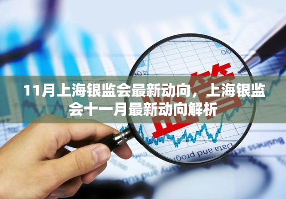 上海银监会十一月最新动向解析与探讨