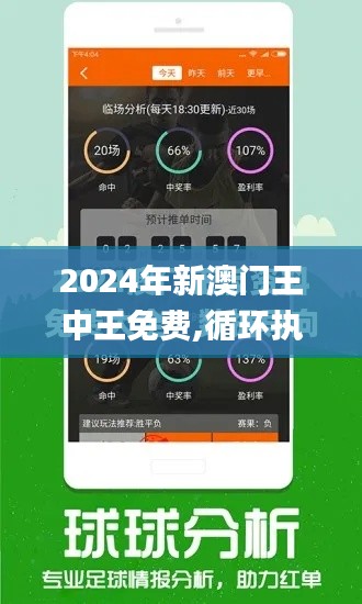 2024年新澳门王中王免费,循环执行落实解答解释_WRJ9.60.47珍贵版