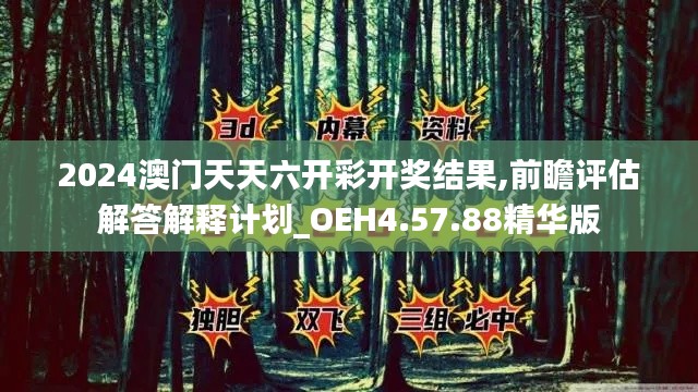 2024澳门天天六开彩开奖结果,前瞻评估解答解释计划_OEH4.57.88精华版