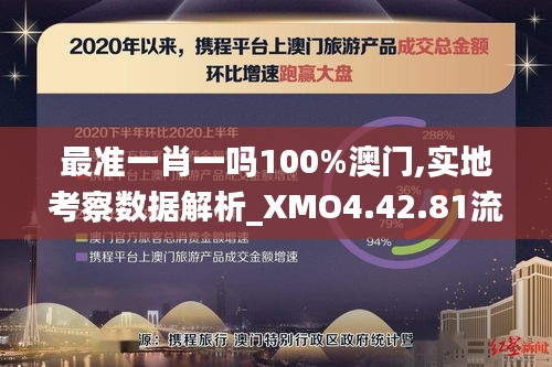 最准一肖一吗100%澳门,实地考察数据解析_XMO4.42.81流线型版