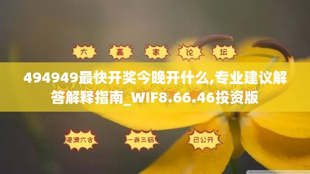 494949最快开奖今晚开什么,专业建议解答解释指南_WIF8.66.46投资版