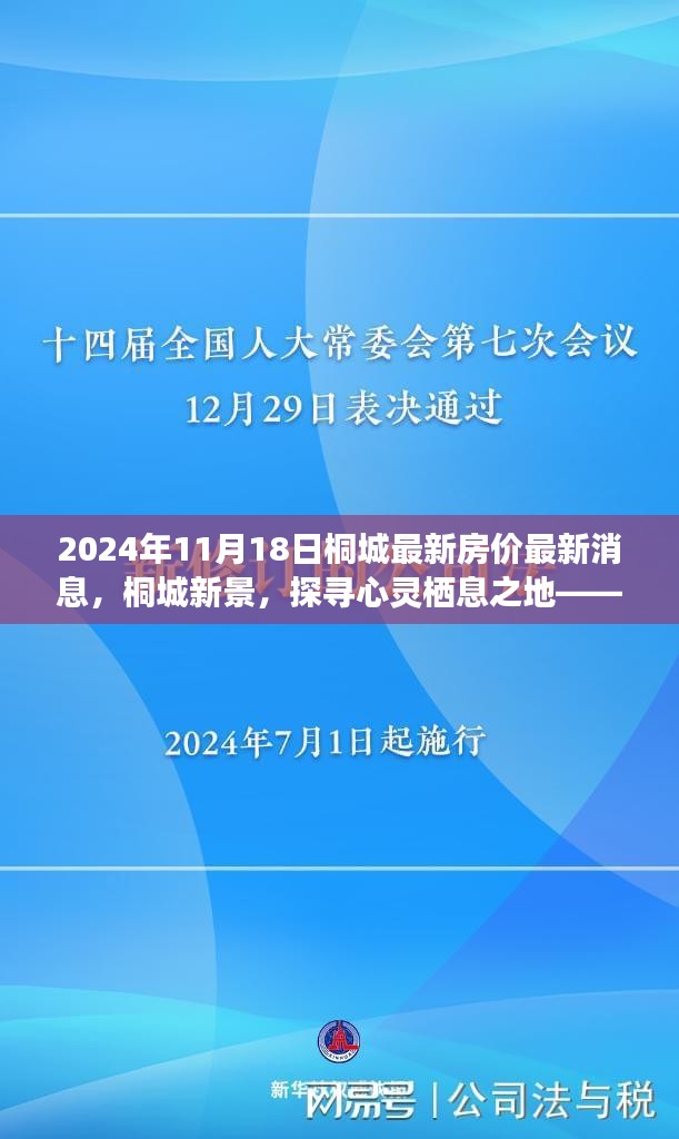 探寻心灵栖息之地，揭秘桐城最新房价背后的自然之旅