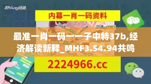 最准一肖一码一一子中特37b,经济解读新释_MHF3.54.94共鸣版