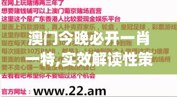 澳门今晚必开一肖一特,实效解读性策略_FDT8.32.32父母版