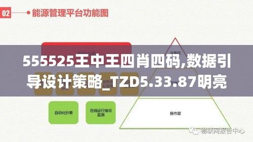 555525王中王四肖四码,数据引导设计策略_TZD5.33.87明亮版